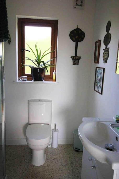 Spacious Cabin On Isolated Farm With Sea View Bude Ngoại thất bức ảnh